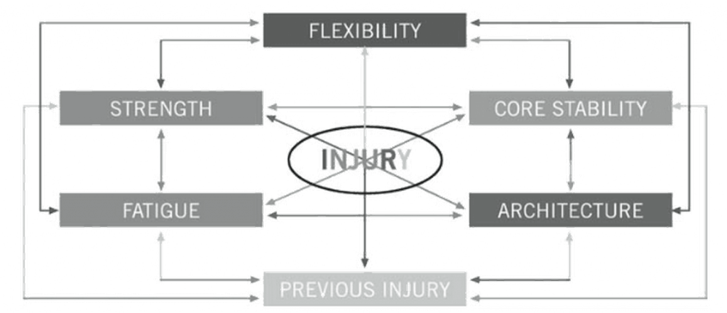Muscle strain injuries model