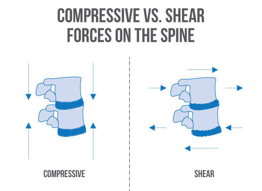 Compressive forces in the squat and deadlift