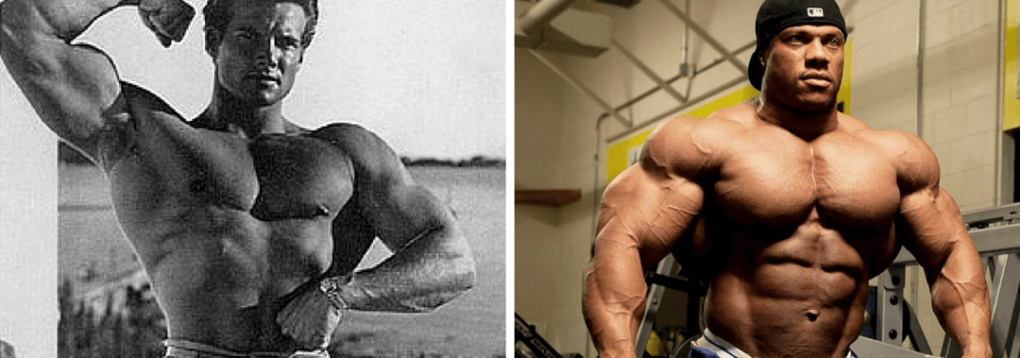 How Much More muscle can you build on steroids?