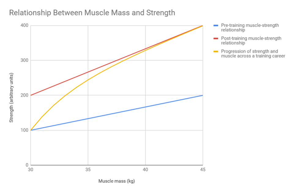 Strength Progression Chart
