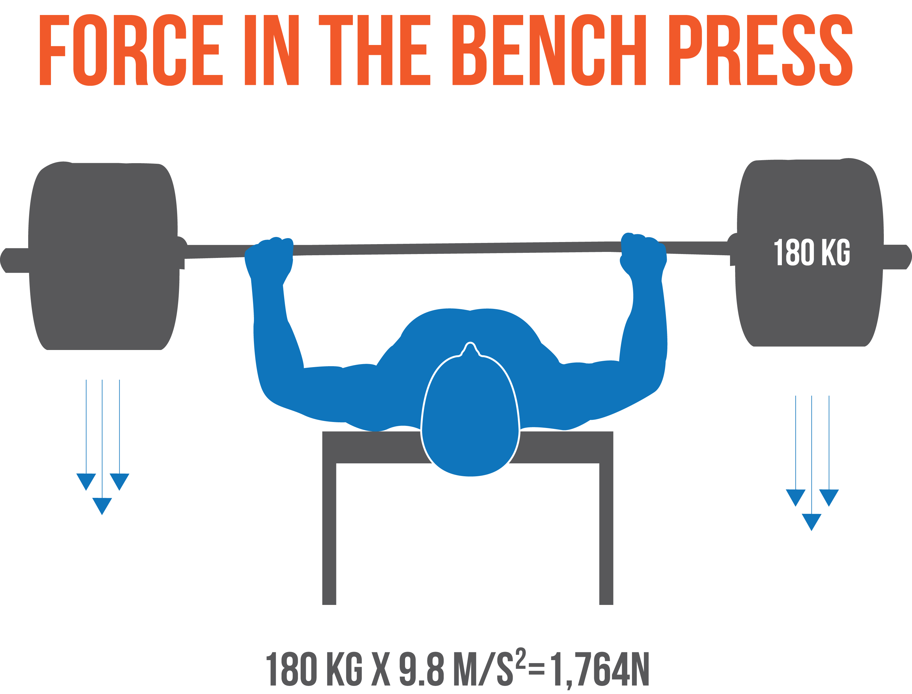 How To Bench Press The Definitive