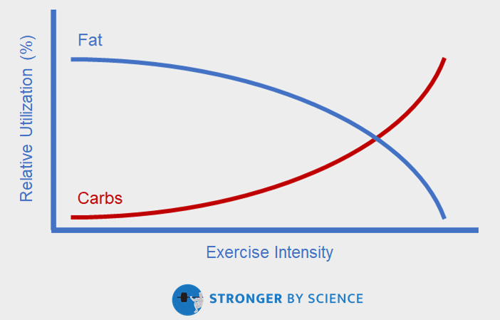 relationship between exercise intensity and substrate utilization 