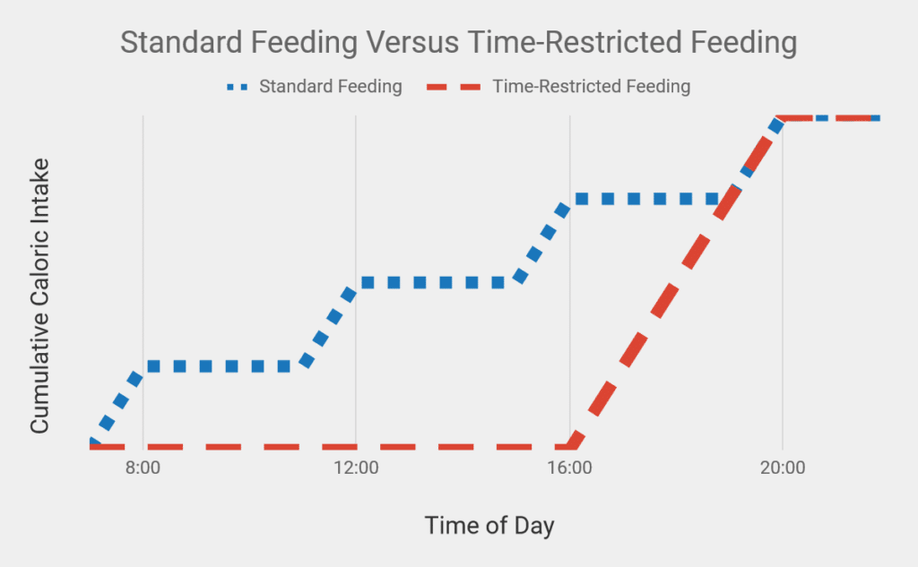 standard feeding vs time-restricted feeding