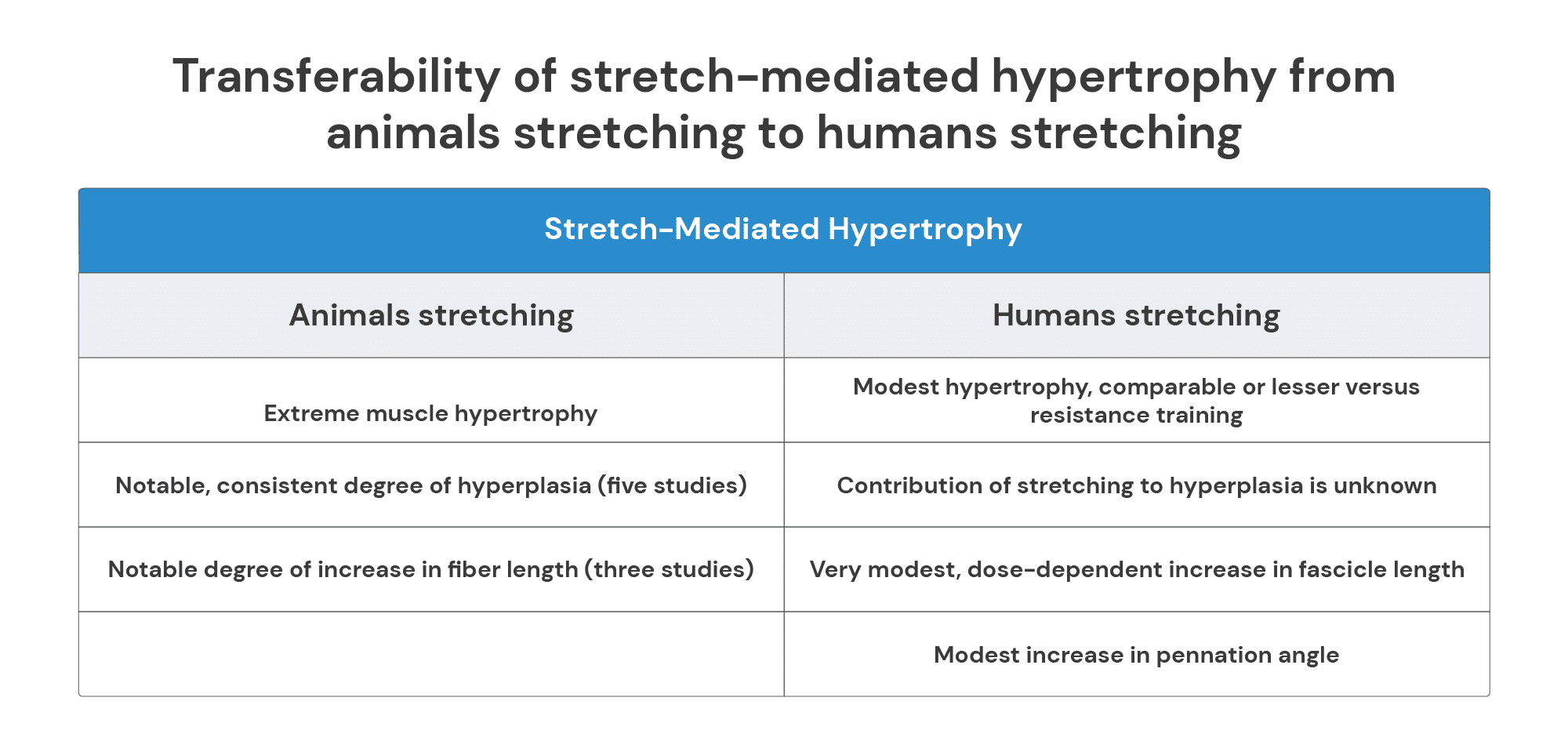 Transferability of stretch-mediated hypertrophy from animals stretching to humans stretching