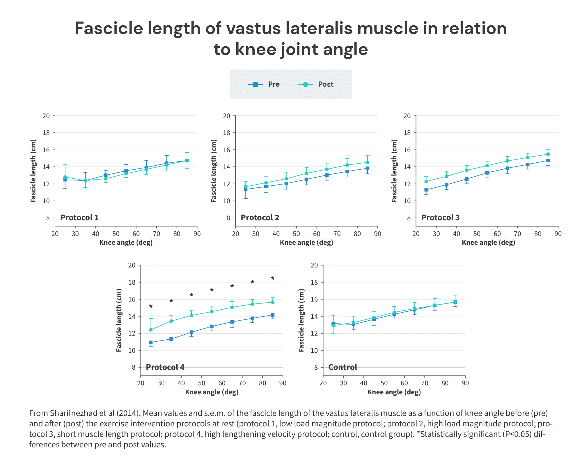 Fascicle length of vastus lateralis muscle in relation to knee joint angle 