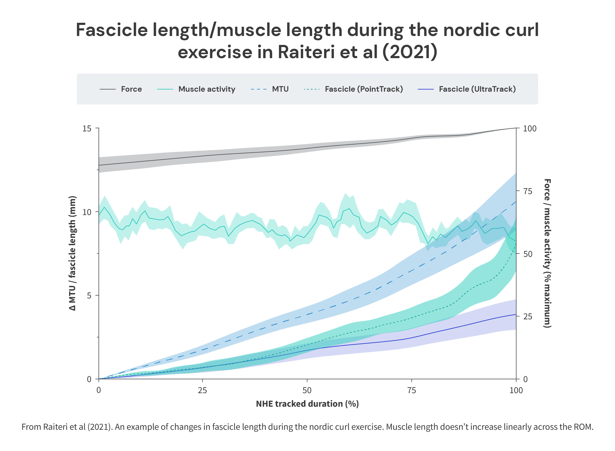 Fascicle length / muscle length during the Nordic curl exercise